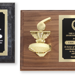 Whistle Award Plaques