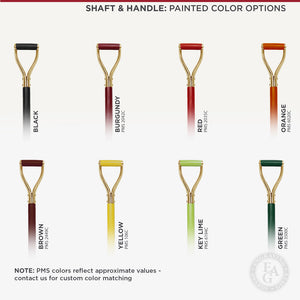 Painted Color Options