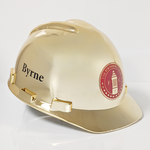 Gold Plated Hard Hat
