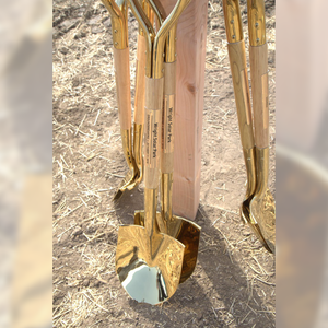 Traditional Gold Plated Groundbreaking Shovel - D-Handle - Wright Solar Park Groundbreaking Photo